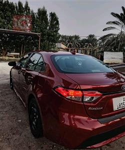 تويوتا كورولا